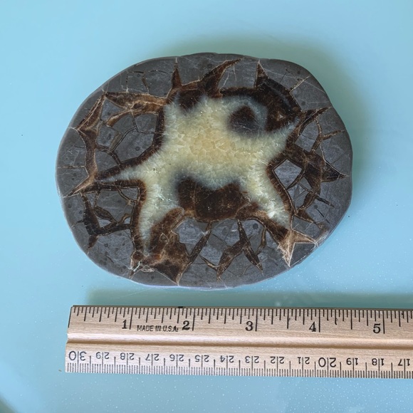 Polished Septarian Dragon Egg Slab - Picture 5 of 6